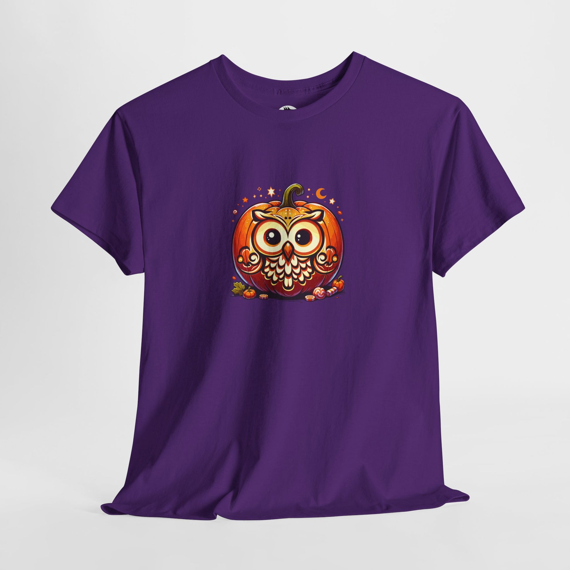 Owl Pumpkin Tee - Adorable Halloween Shirt